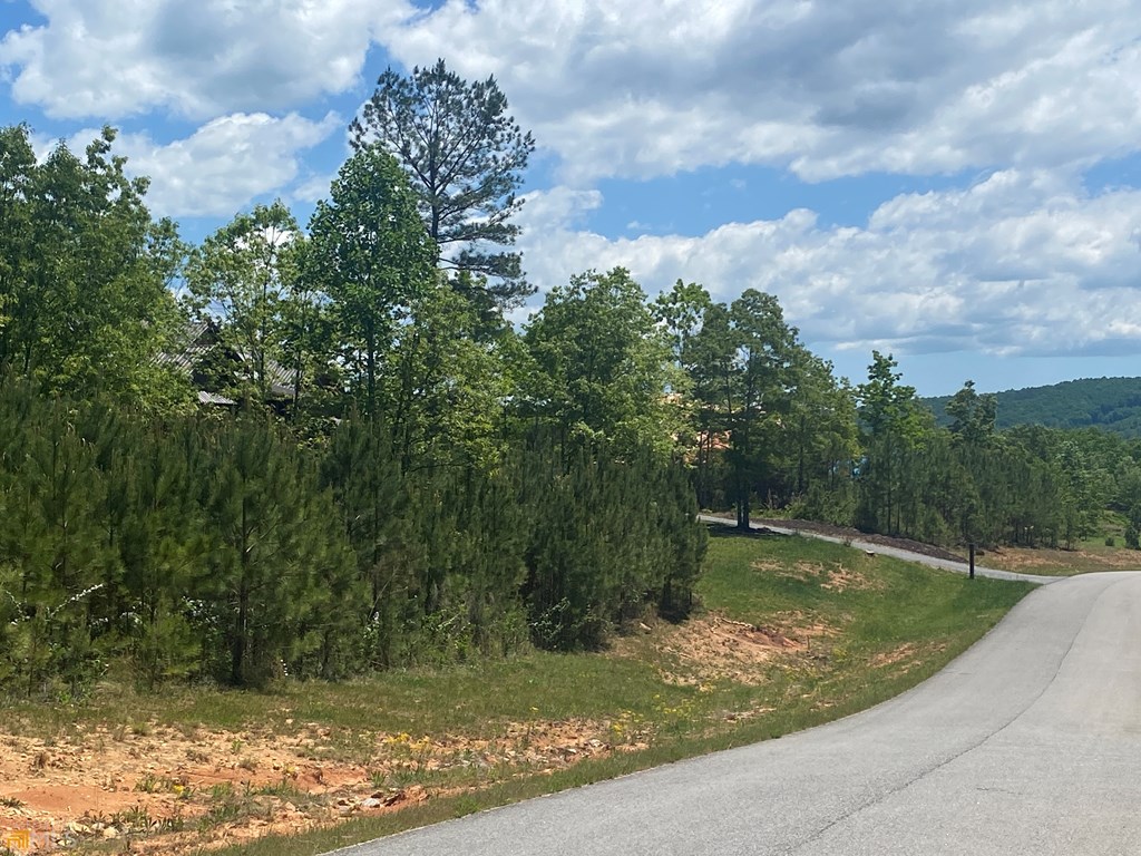 Lot 55 Village Loop Property Photo 4