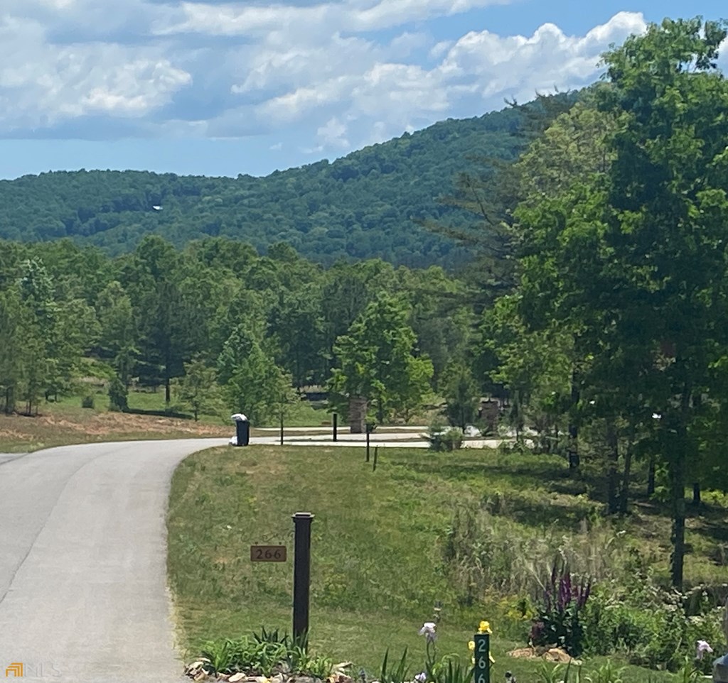 Lot 55 Village Loop Property Photo 5