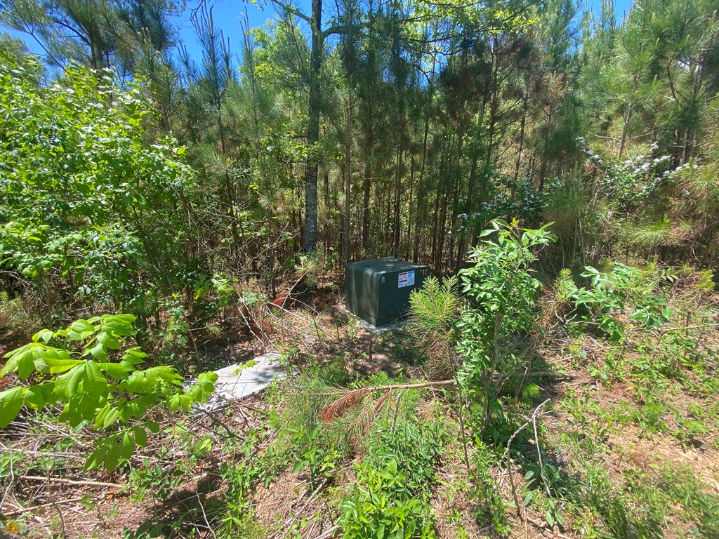 Lot 55 Village Loop Property Photo 7