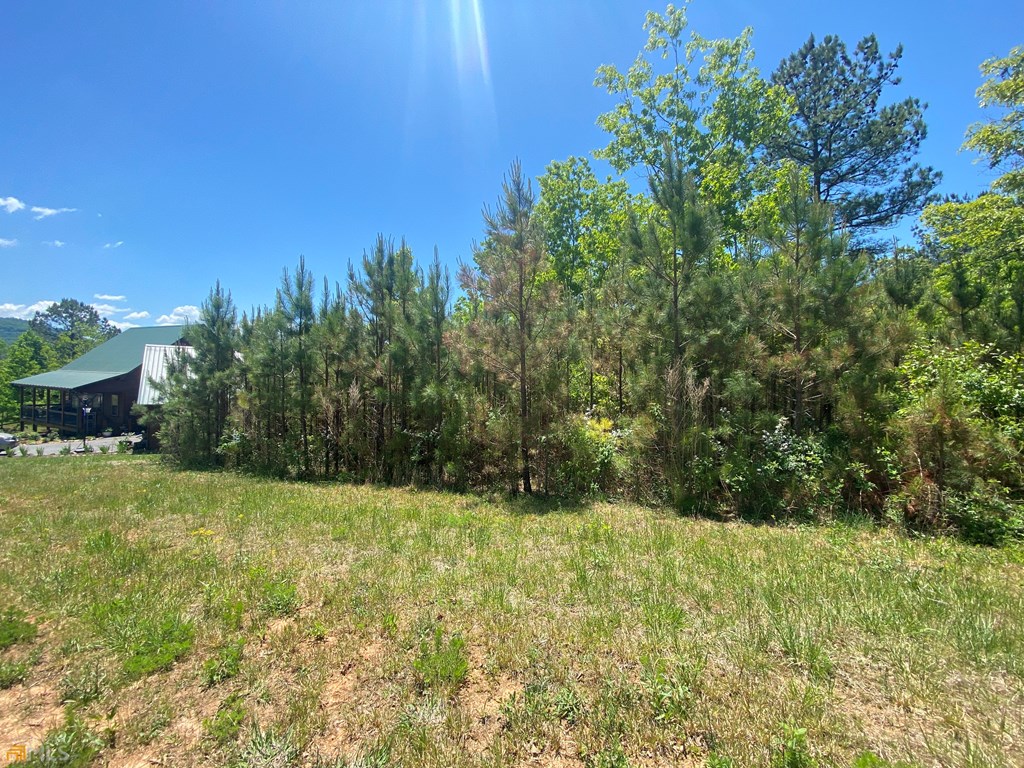 Lot 55 Village Loop Property Photo 8
