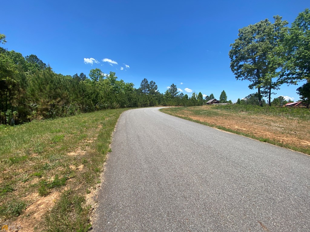 Lot 55 Village Loop Property Photo 9