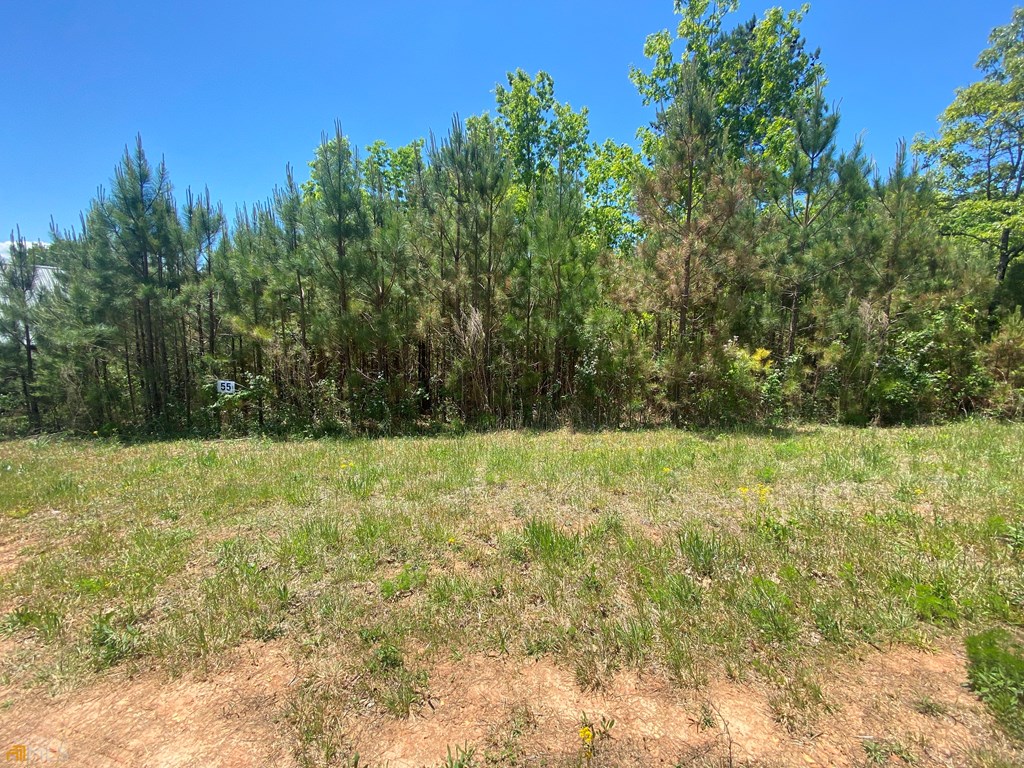 Lot 55 Village Loop Property Photo 10
