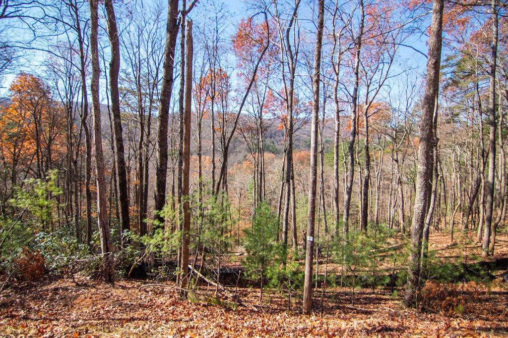 281 Clay's Way Property Photo 2