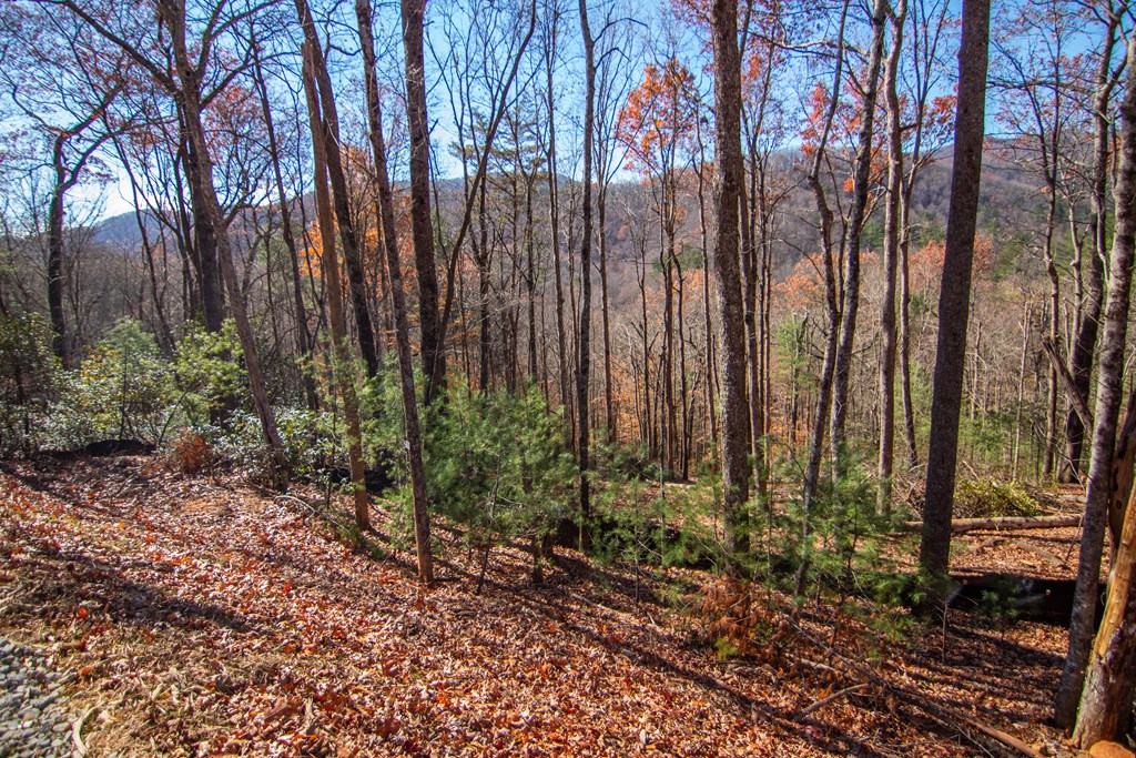 281 Clay's Way Property Photo 11