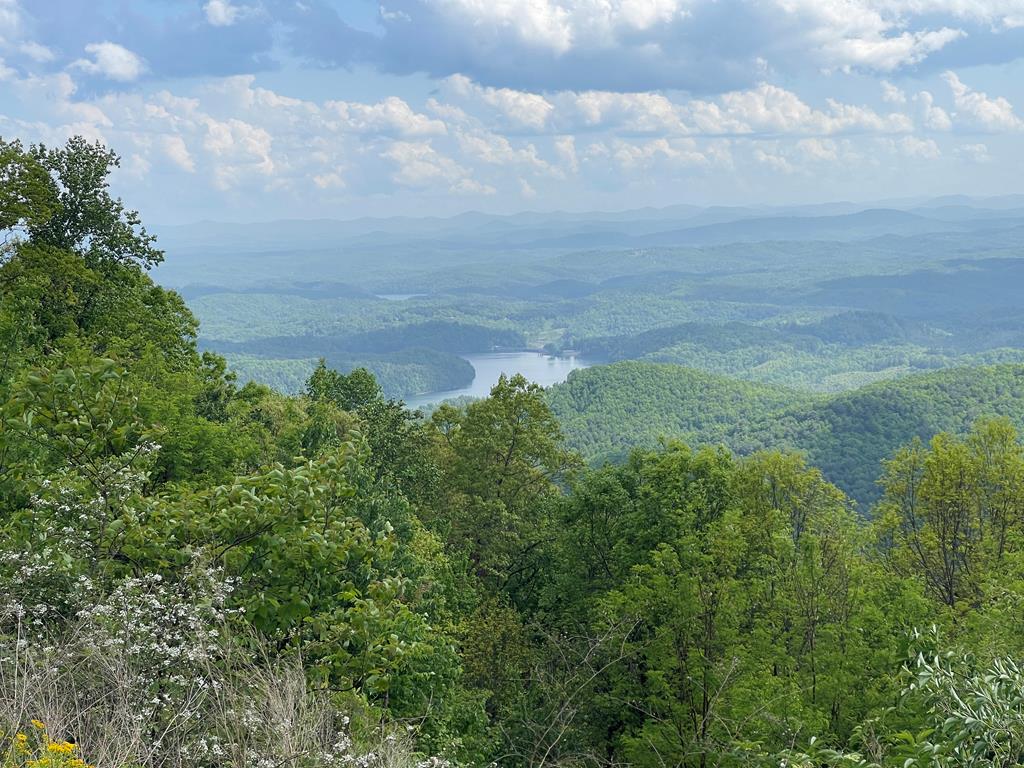 0 Burrell Mountain Road Property Photo 1