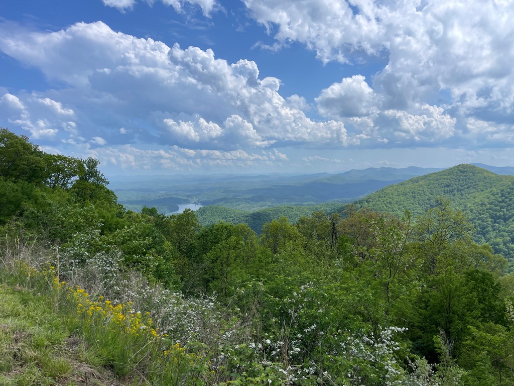 0 Burrell Mountain Road Property Photo 2