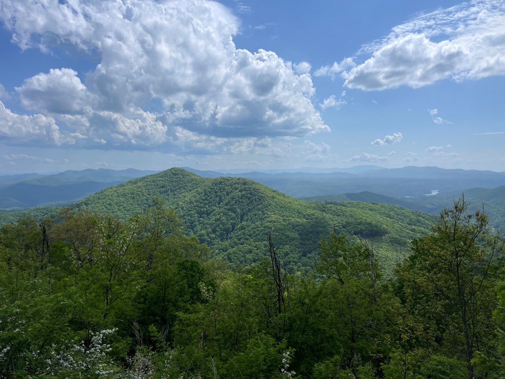 0 Burrell Mountain Road Property Photo 3