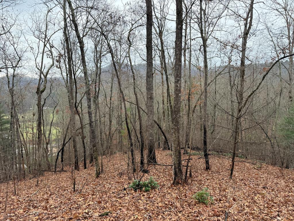 0 Flaming Ridge Property Photo 1