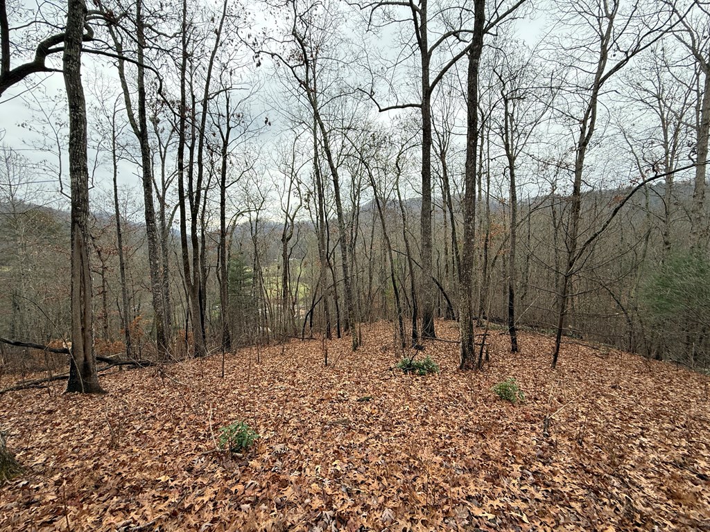 0 Flaming Ridge Property Photo 3