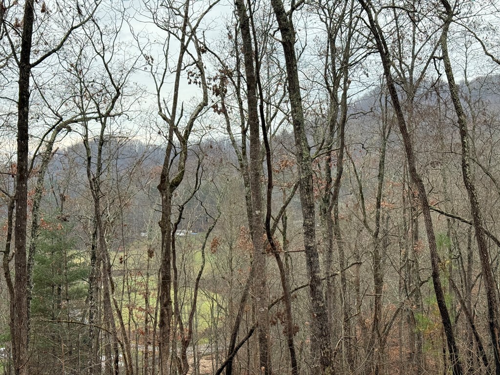 0 Flaming Ridge Property Photo 4