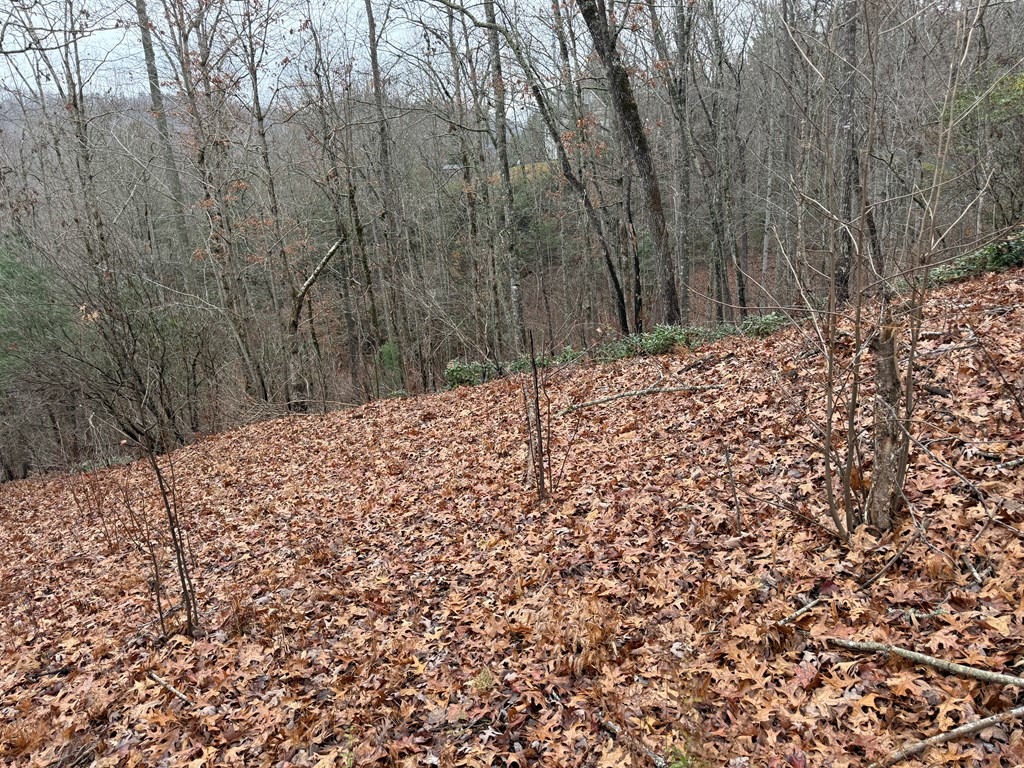 0 Flaming Ridge Property Photo 5