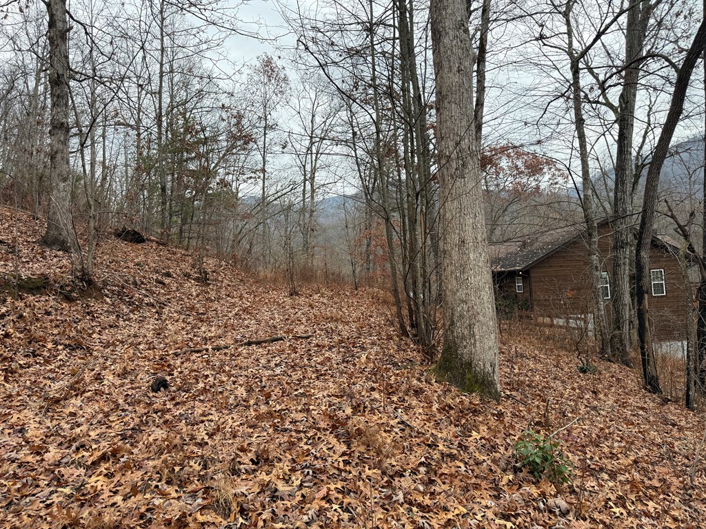 0 Flaming Ridge Property Photo 6