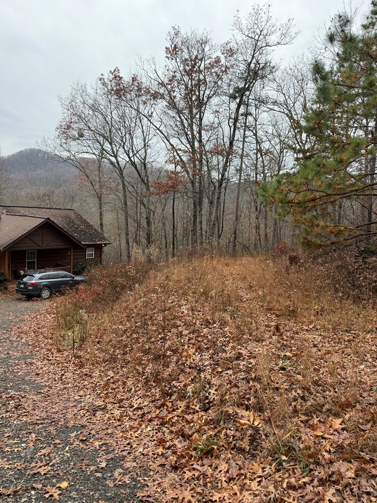 0 Flaming Ridge Property Photo 7