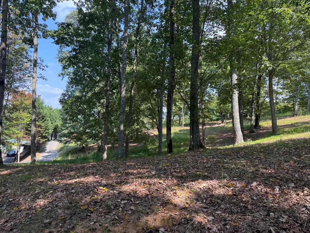 0 Madison Lane Property Photo 1
