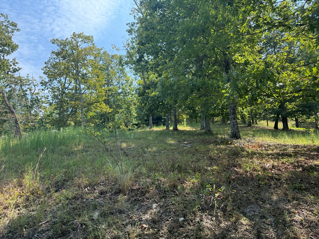0 Madison Lane Property Photo 2