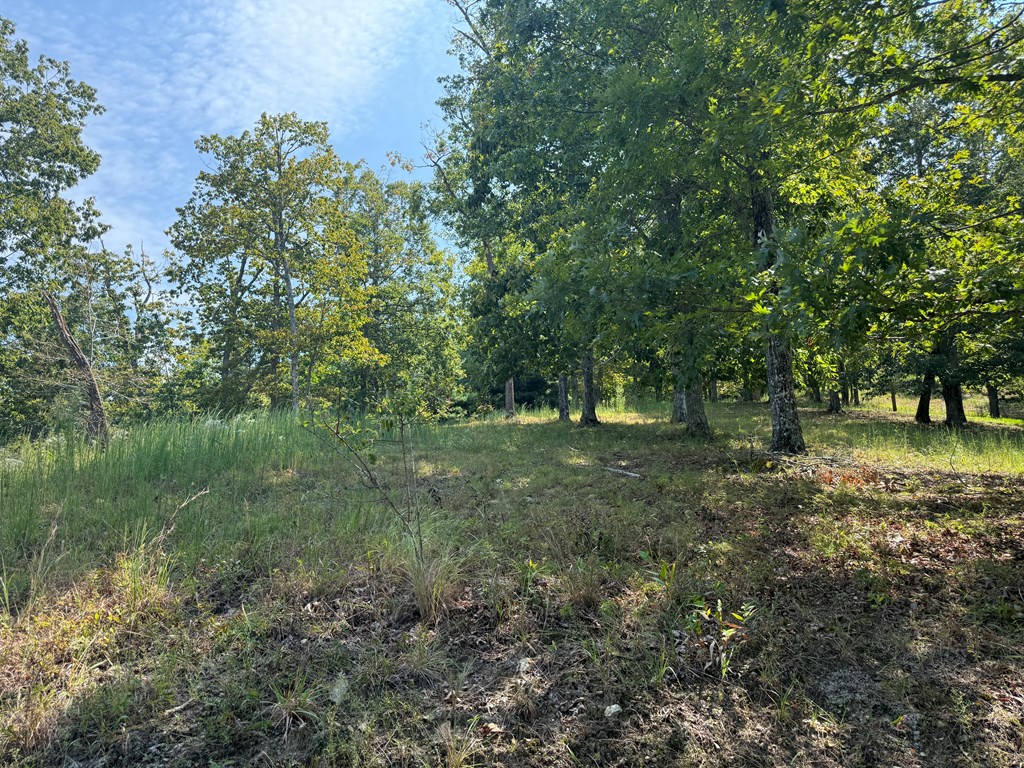 0 Madison Lane Property Photo 3