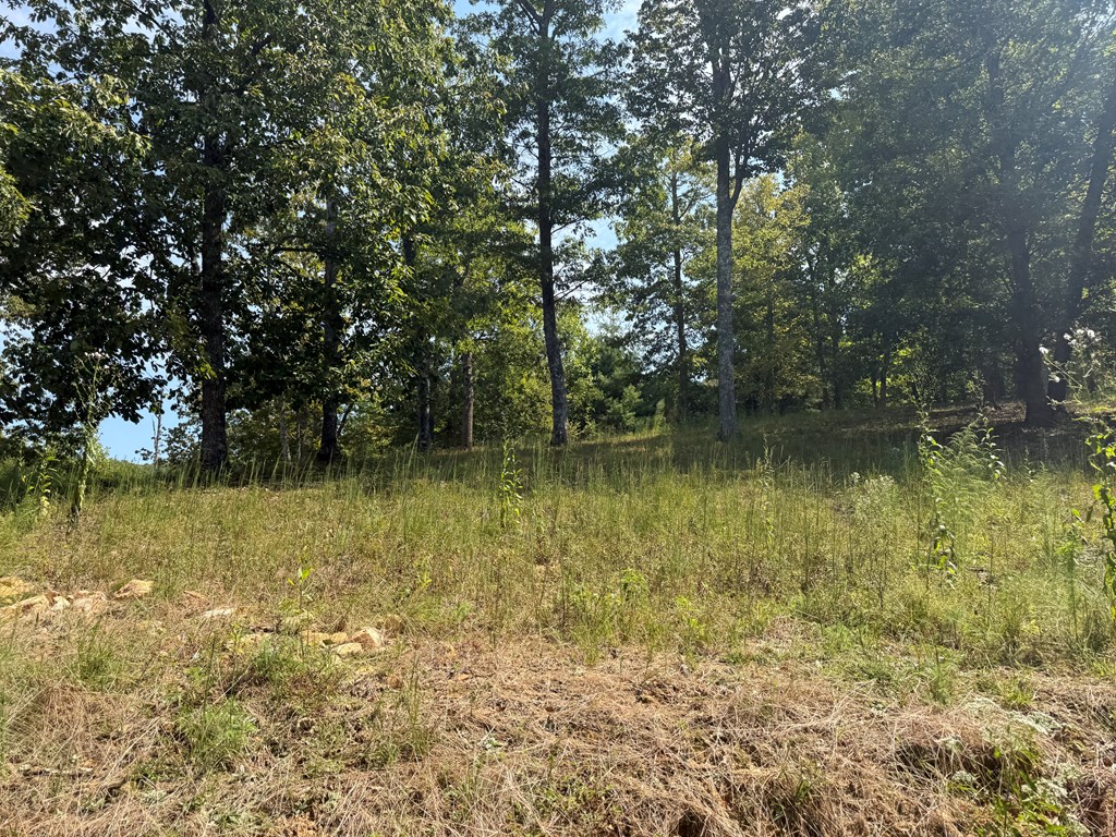0 Madison Lane Property Photo 4