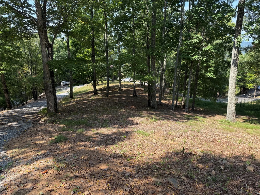 0 Madison Lane Property Photo 6