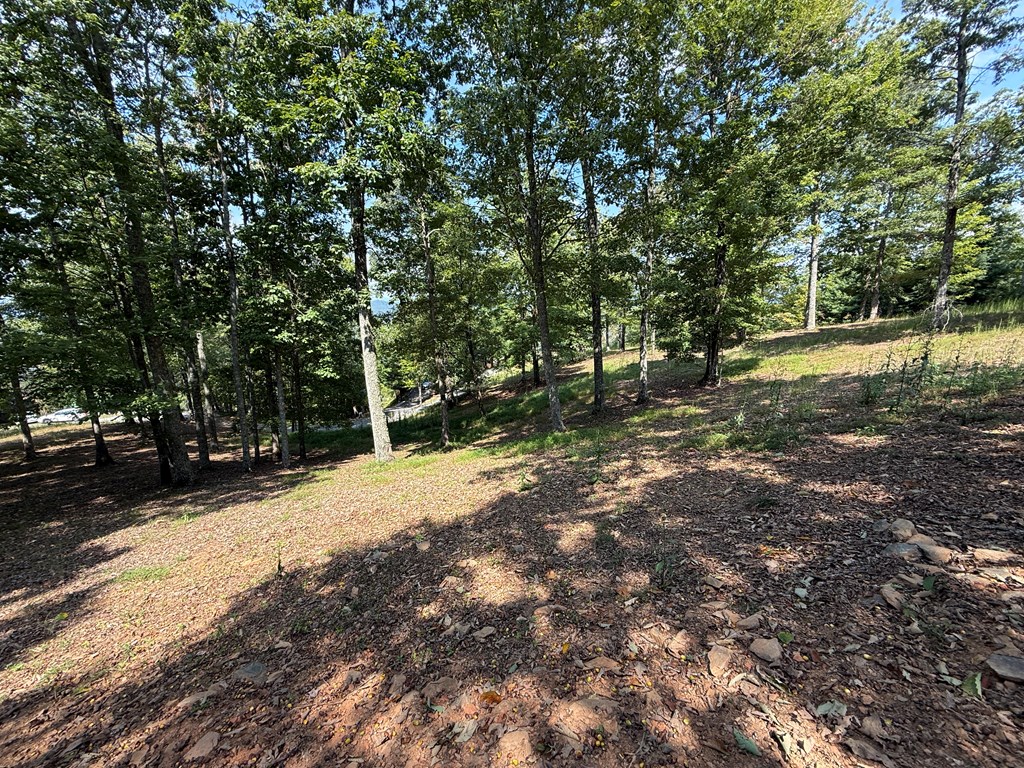 0 Madison Lane Property Photo 8