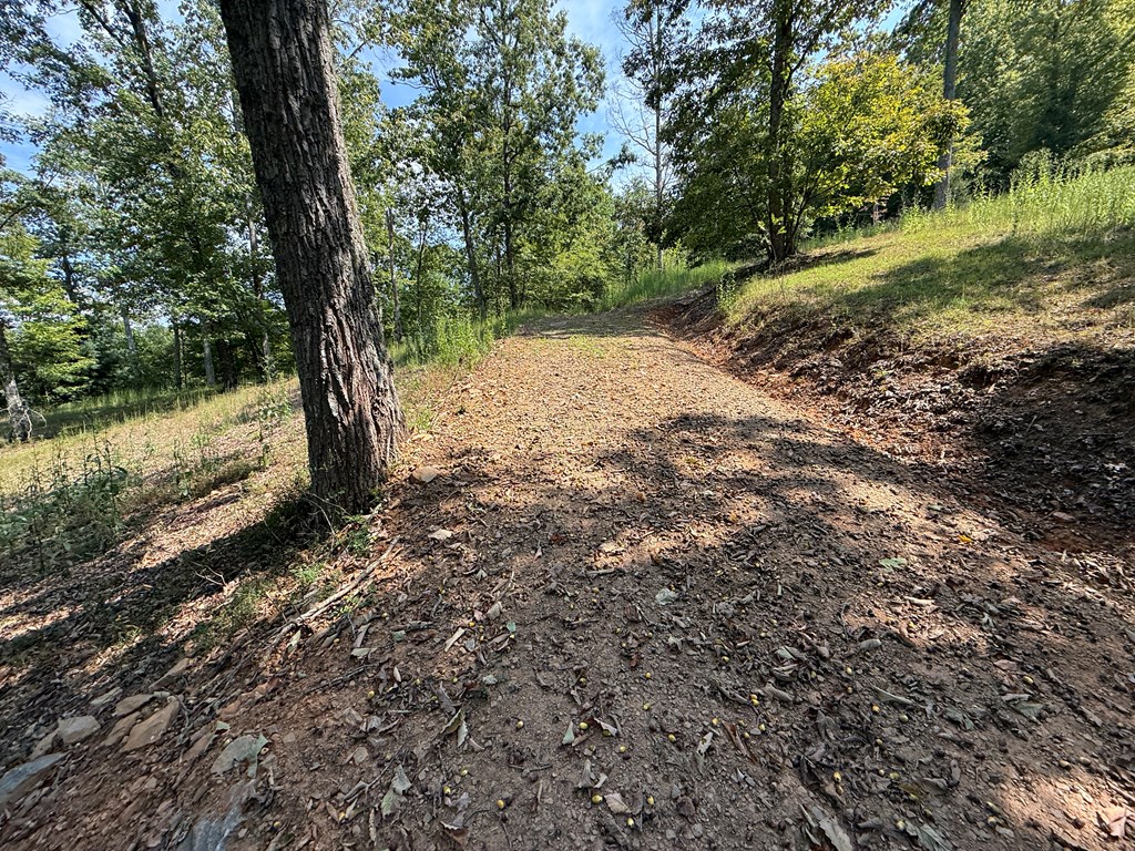 0 Madison Lane Property Photo 9