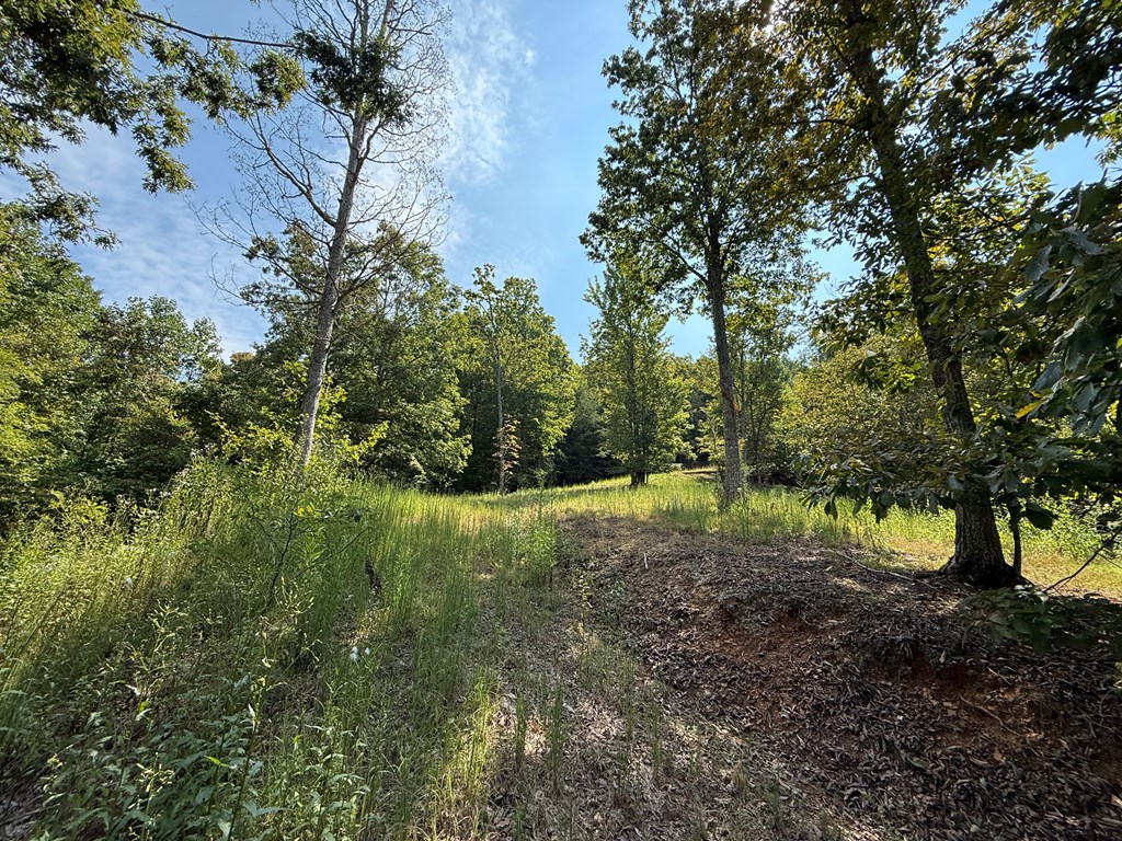 0 Madison Lane Property Photo 11