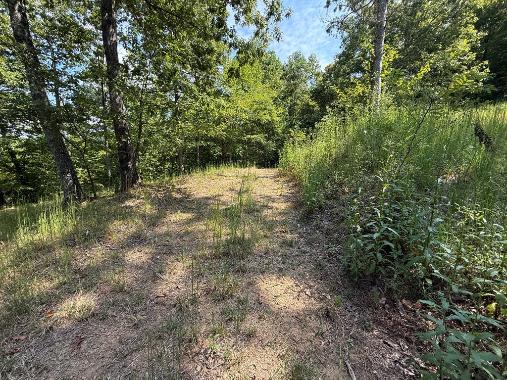 0 Madison Lane Property Photo 12