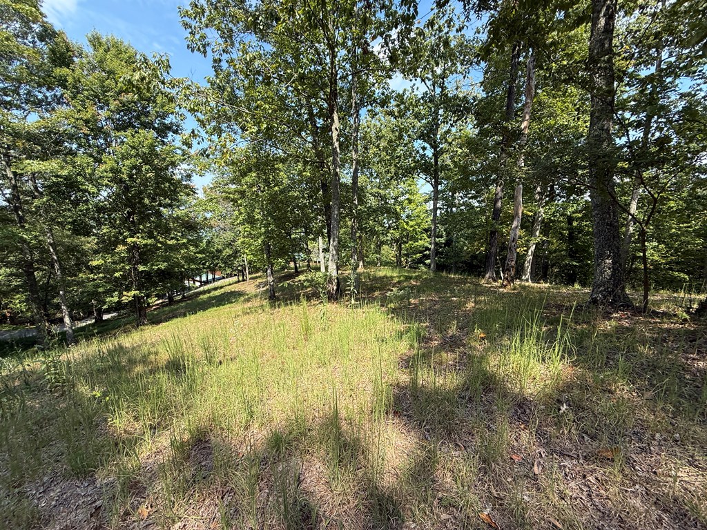0 Madison Lane Property Photo 13