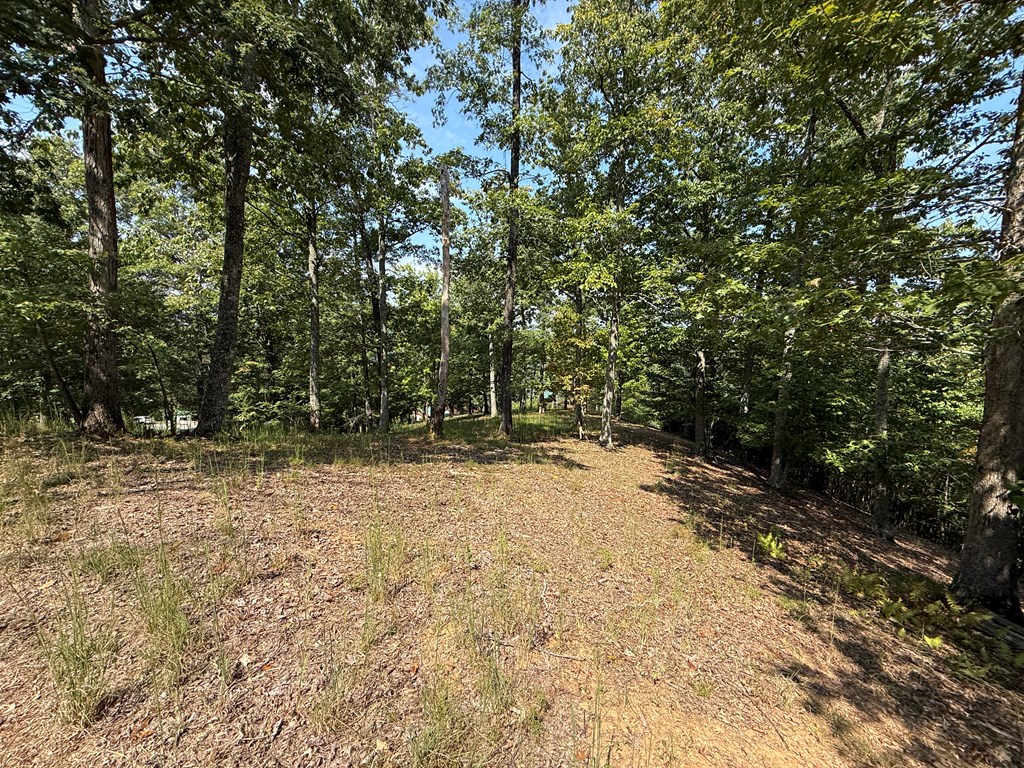 0 Madison Lane Property Photo 14