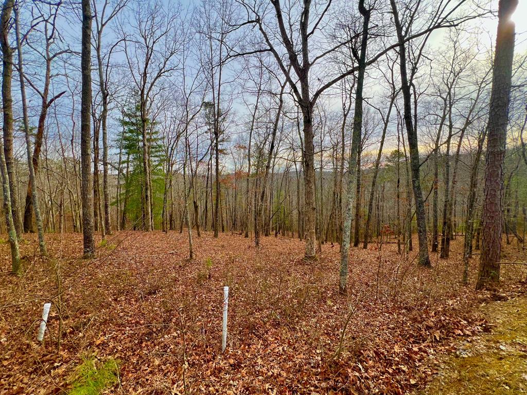 208 Harris Ridge Drive Property Photo 1