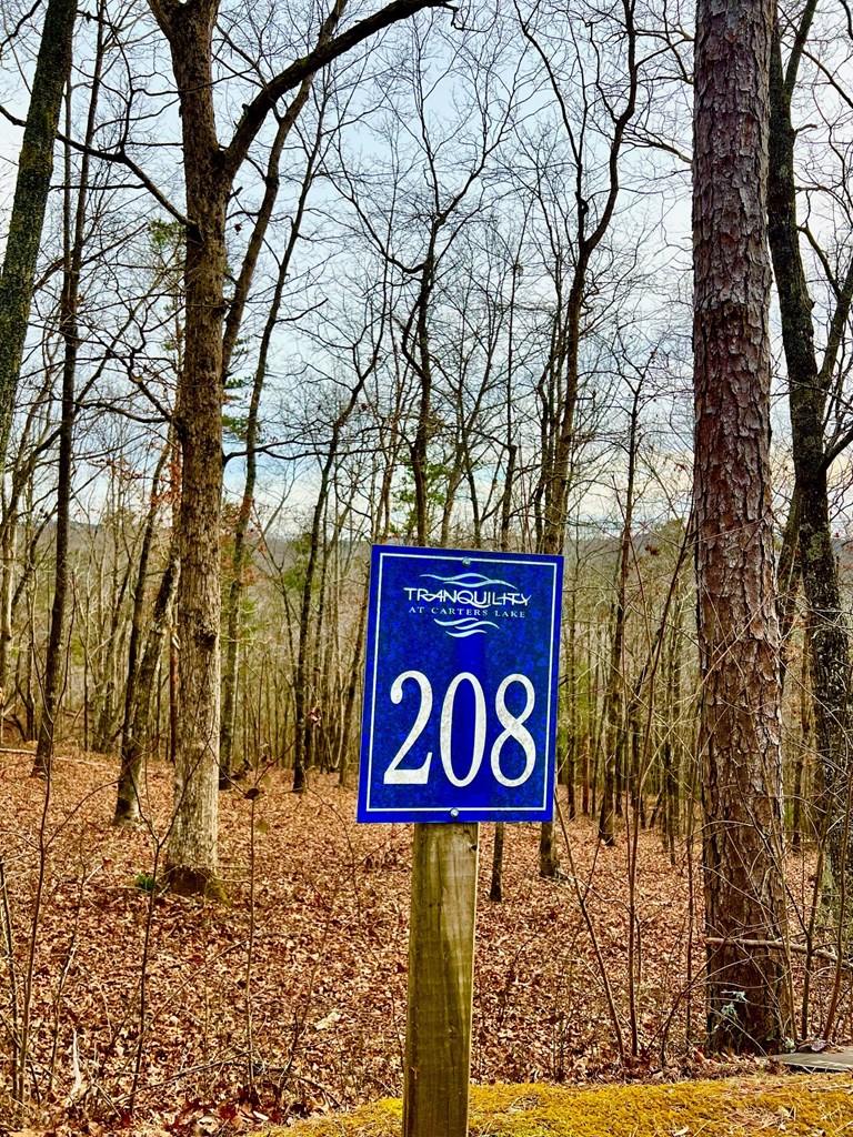 208 Harris Ridge Drive Property Photo 12