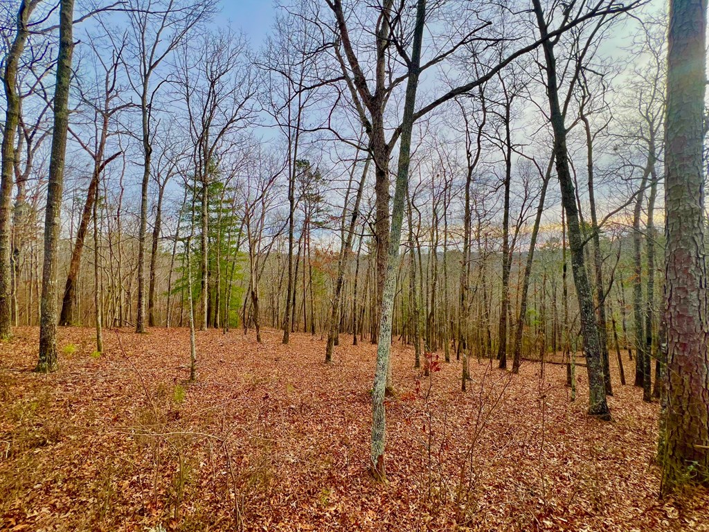 208 Harris Ridge Drive Property Photo 13