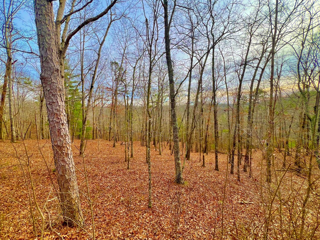 208 Harris Ridge Drive Property Photo 14