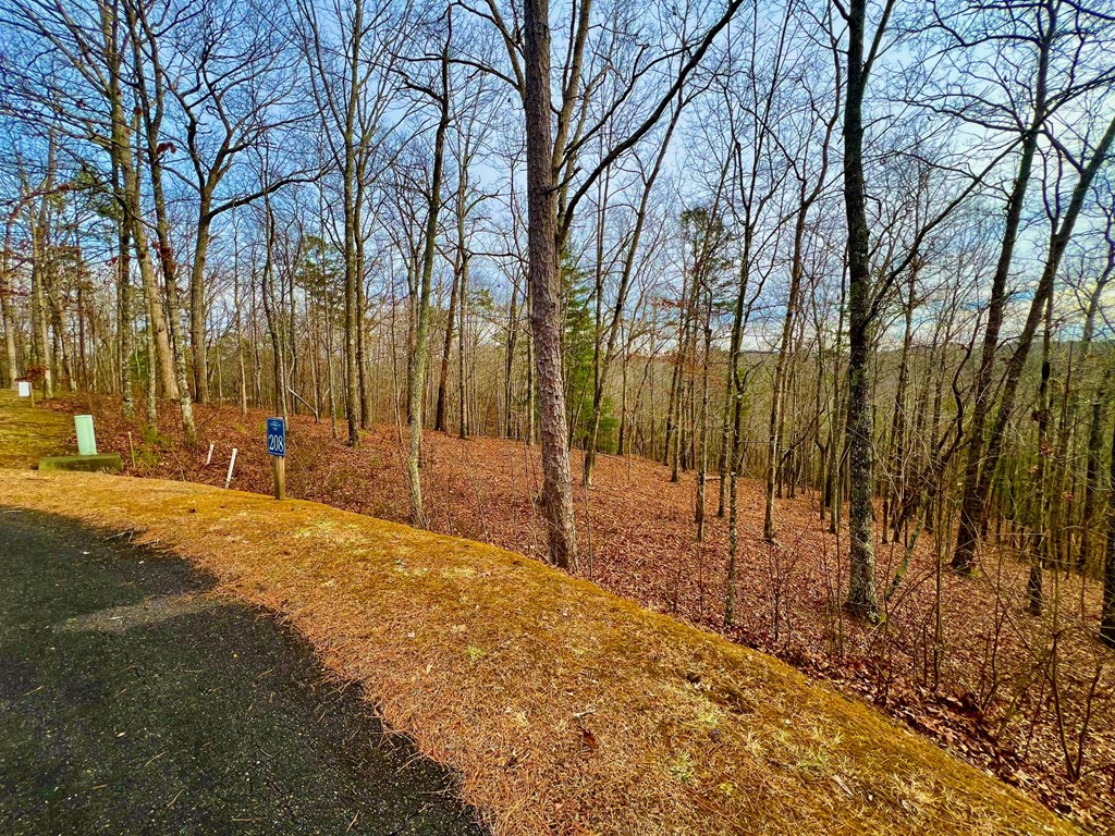 208 Harris Ridge Drive Property Photo 16