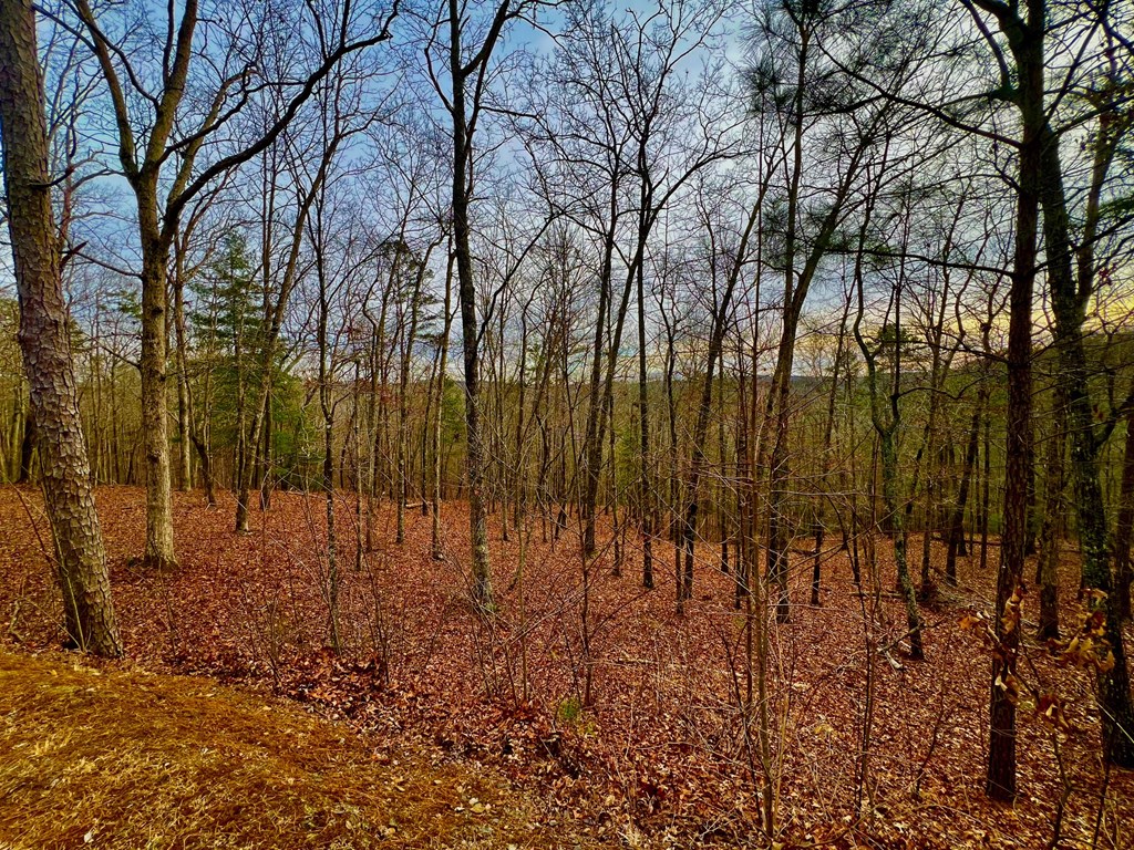 208 Harris Ridge Drive Property Photo 21