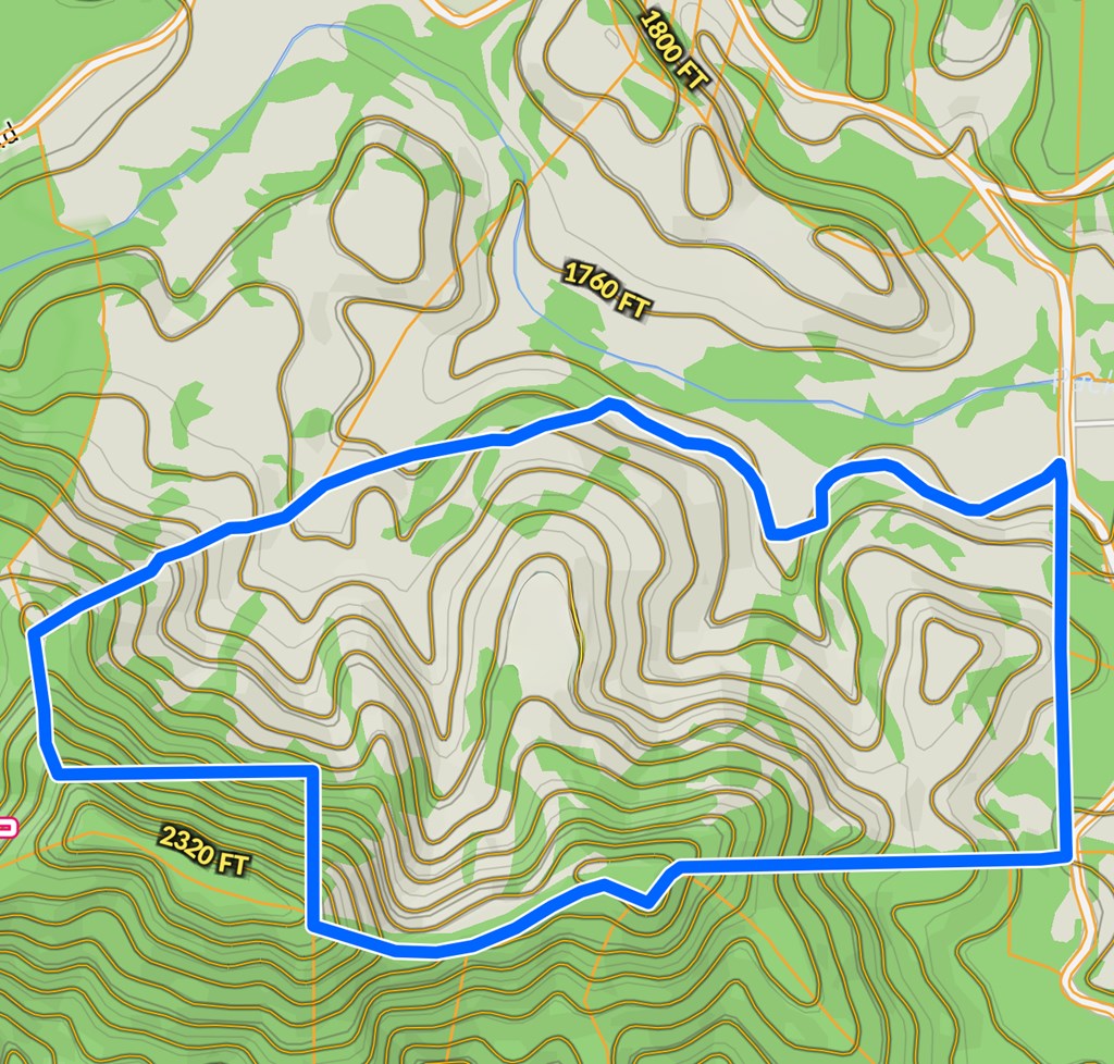 156+ Ac Higdon Creek Road Property Photo 6