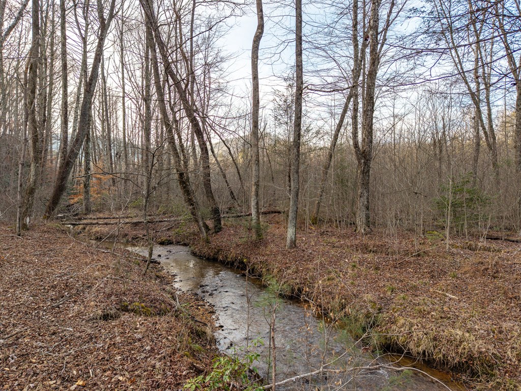 156+ Ac Higdon Creek Road Property Photo 29