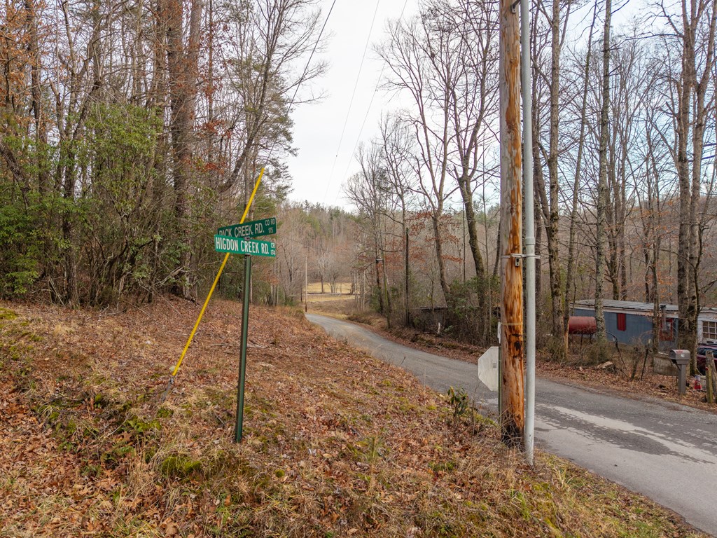 156+ Ac Higdon Creek Road Property Photo 33