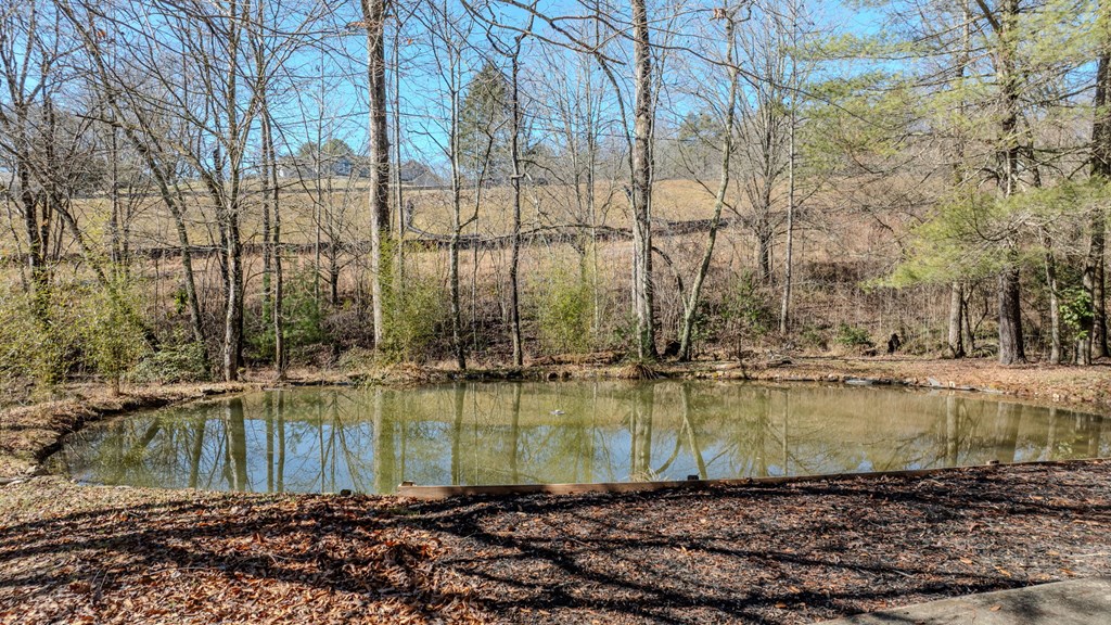 214 Hedden Road Property Photo 8