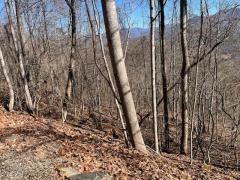 Lot 29 Hidden Summit Road Property Photo 5