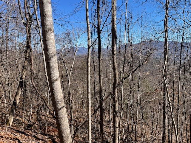 Lot 29 Hidden Summit Road Property Photo 7
