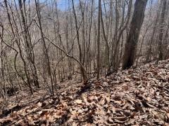 Lot 30 Hidden Summit Road Property Photo 6