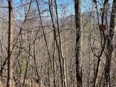 Lot 30 Hidden Summit Road Property Photo 7