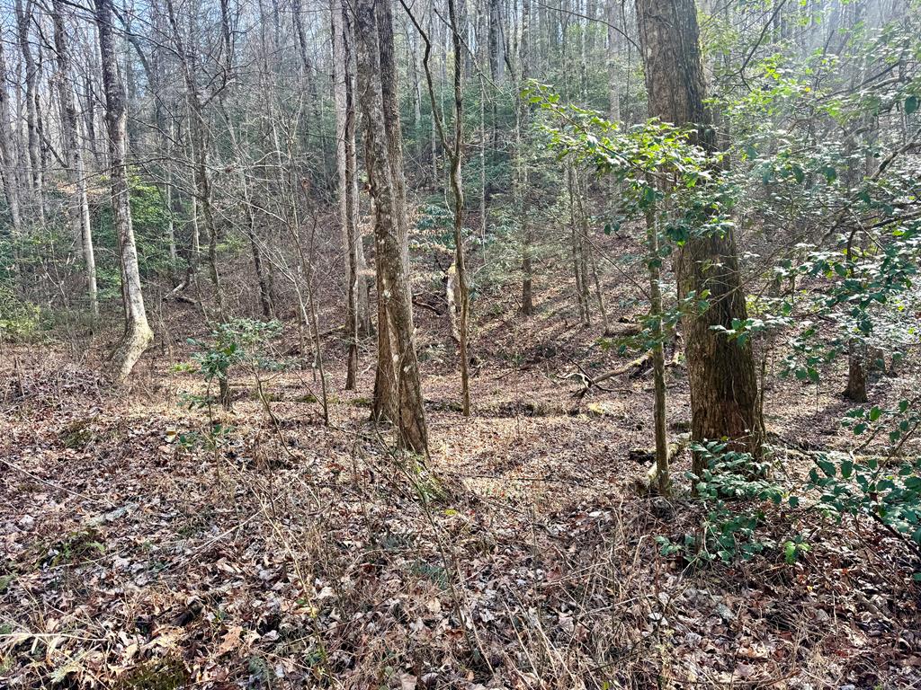 L53 Amy Creek Circle Property Photo 1