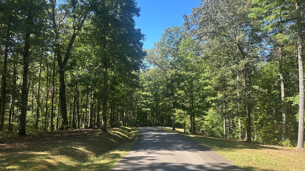 1.81 Ac Nature Valley Trail Property Photo 3