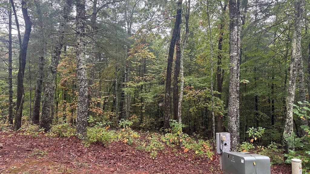 1.81 Ac Nature Valley Trail Property Photo 9