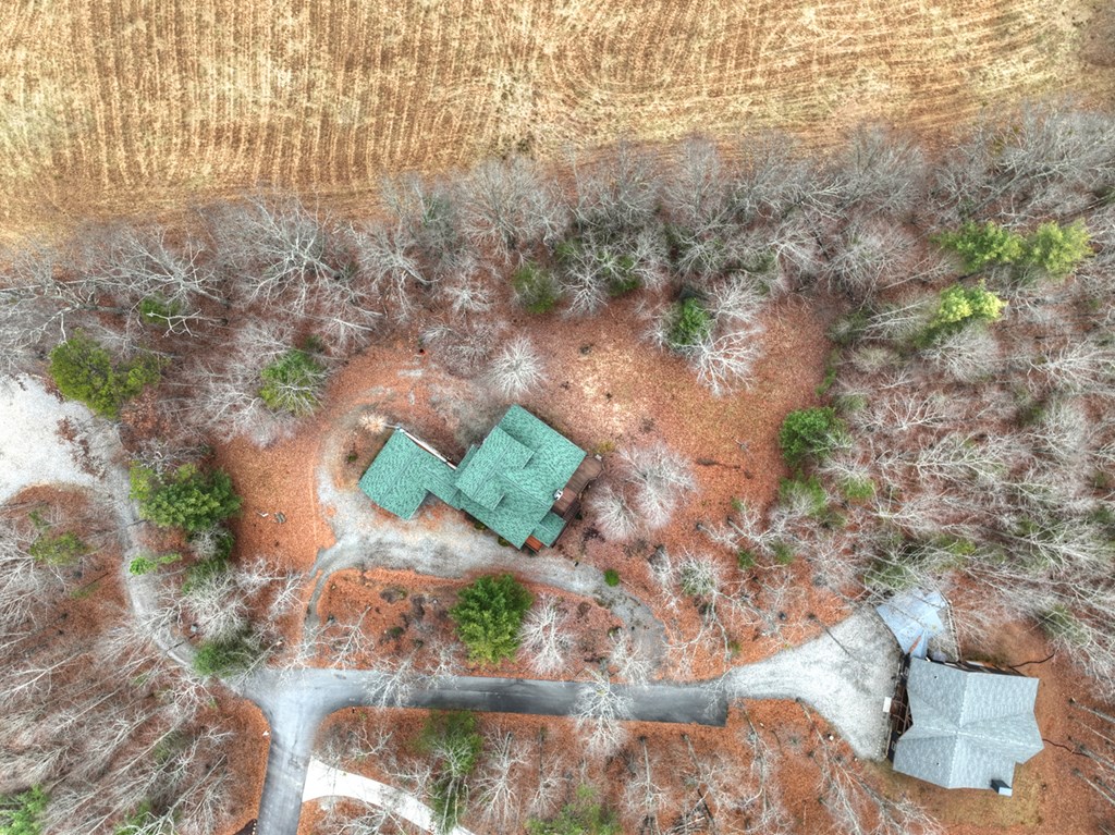 61 Spring Ridge Trail Property Photo 2
