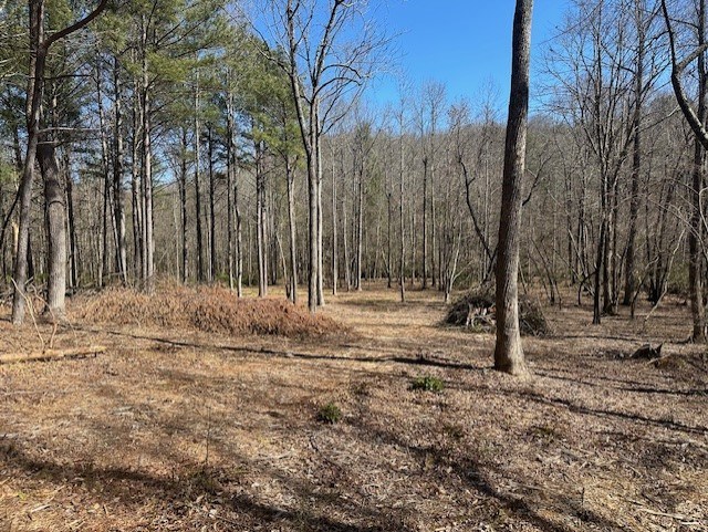 Lot 16 Bravo Way Property Photo 5
