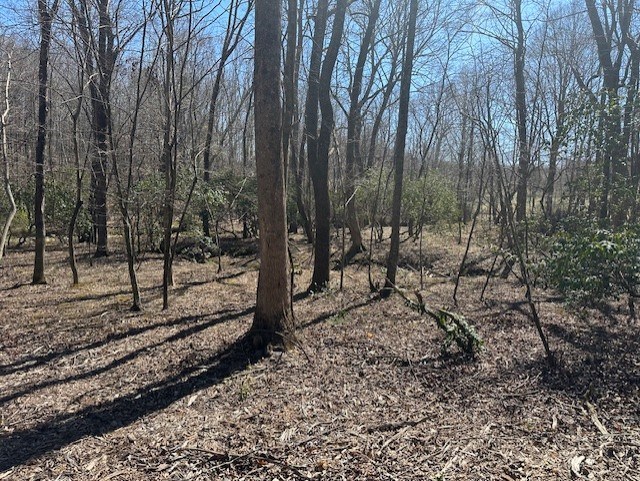 Lot 16 Bravo Way Property Photo 6