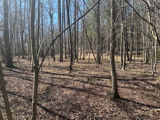 Lot 16 Bravo Way Property Photo 8