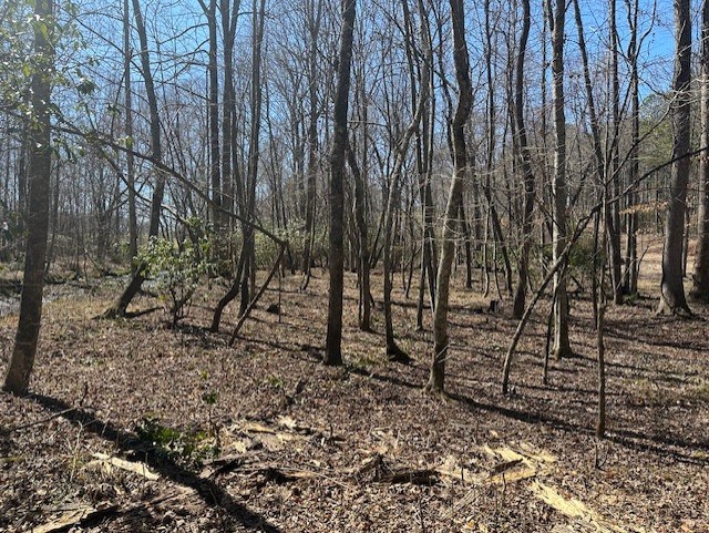 Lot 16 Bravo Way Property Photo 9